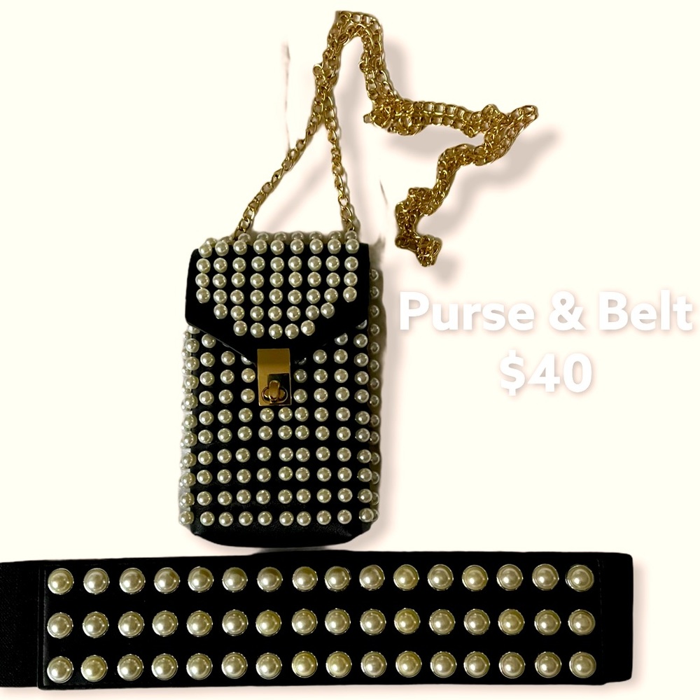 Purse and belt combo